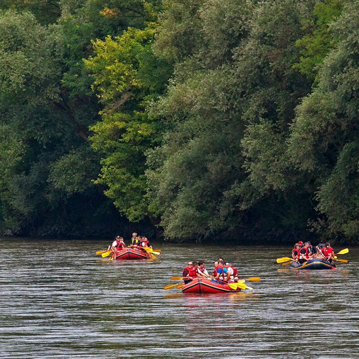 Reka Mura - rafting